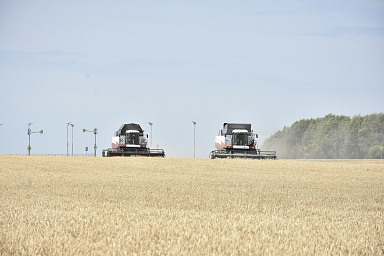 Правительство увеличило размер господдержки для сельхозпроизводителей