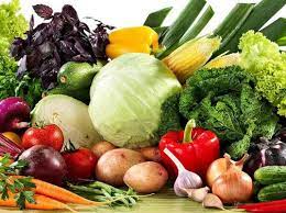 Экспорт плодоовощной продукции из России в 2022 году вырос на 27% Экспорт плодоовощной продукции из России в 2022 году вырос на 27%