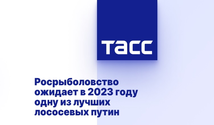 Росрыболовство ожидает в 2023 году одну из лучших лососевых путин Росрыболовство ожидает в 2023 году одну из лучших лососевых путин