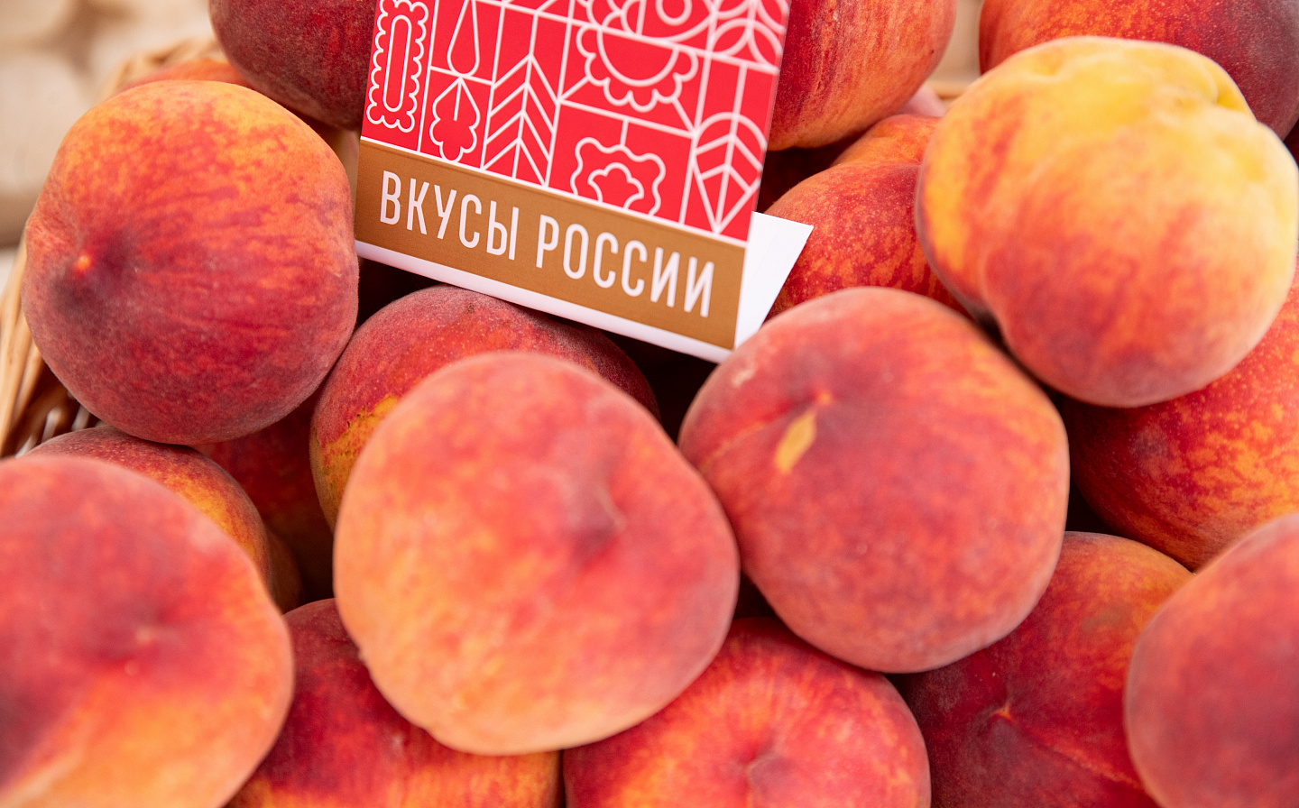 На фестивале "Вкусы России" представили более 300 брендов отечественных продуктов питания На фестивале "Вкусы России" представили более 300 брендов отечественных продуктов питания