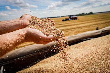 Экспорт продукции липецкого АПК с начала года увеличился в 1,6 раза