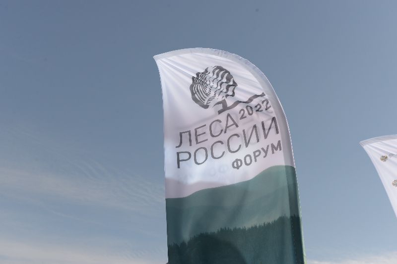 В Красноярске стартовал форум «Леса России» В Красноярске стартовал форум «Леса России»