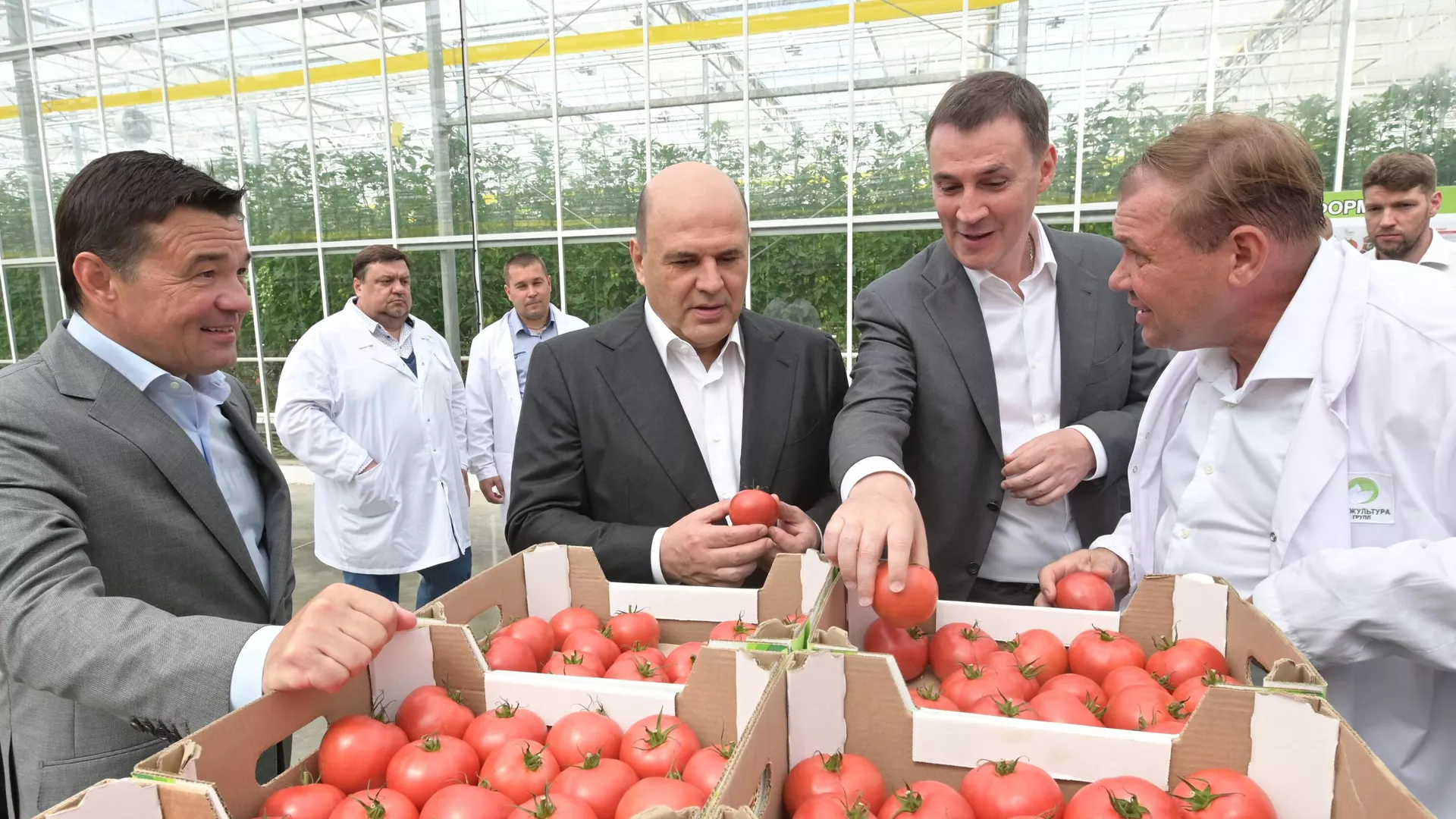 Мишустин призвал сделать вопросы семеноводства и селекции приоритетными Мишустин призвал сделать вопросы семеноводства и селекции приоритетными