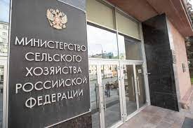 В Минсельхозе выступили за пониженную ставку НДС для семян подсолнечника и кукурузы В Минсельхозе выступили за пониженную ставку НДС для семян подсолнечника и кукурузы