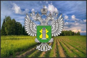 Россельхознадзор вывел на ЕПГУ 5 новых государственных услуг и разрешительных видов деятельности Россельхознадзор вывел на ЕПГУ 5 новых государственных услуг и разрешительных видов деятельности