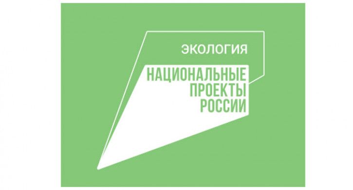 Реализацию нацпроекта "Экология" планируют продлить на шесть лет Реализацию нацпроекта "Экология" планируют продлить на шесть лет