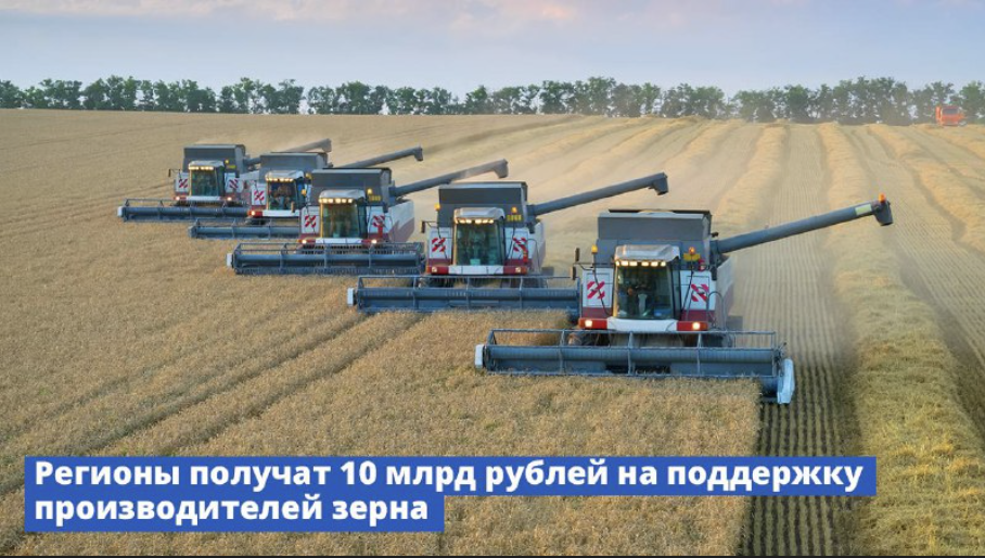 Правительство направит регионам средства на поддержку производителей зерна Правительство направит регионам средства на поддержку производителей зерна